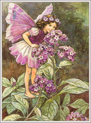 Spirits in Our Gardens: Mother Earth, Fairies, and Us