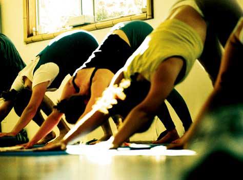 Fundamentals of Yoga Workshop